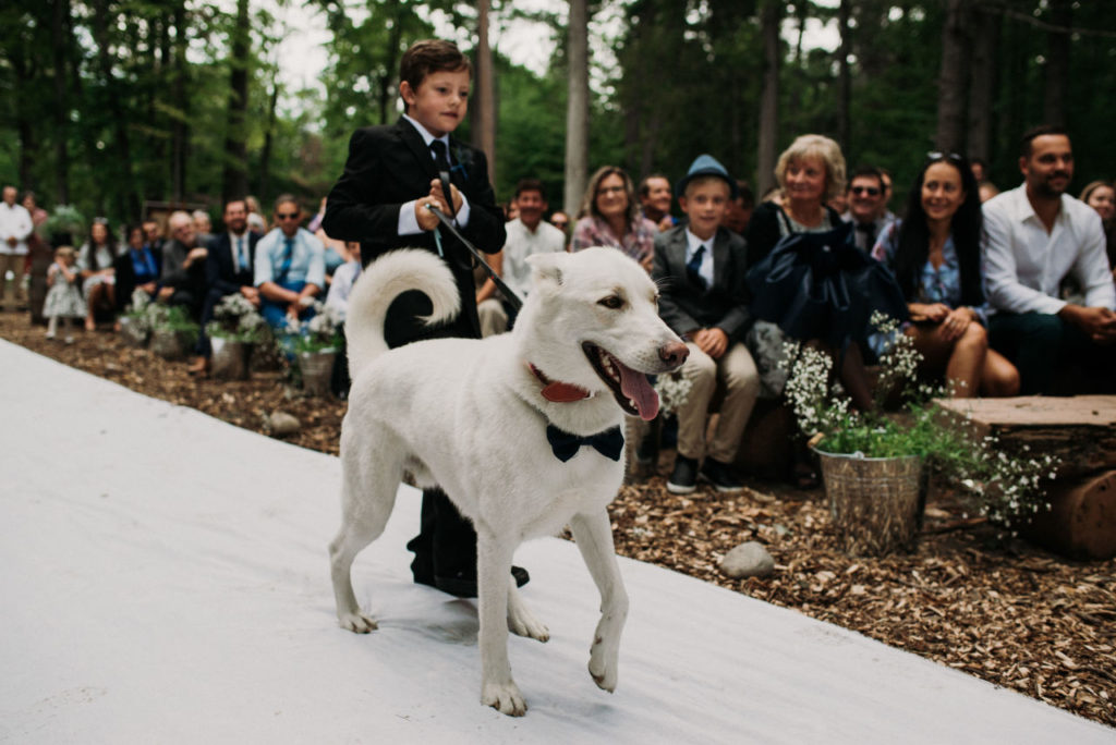 dog walks down aisle at backyard wedding