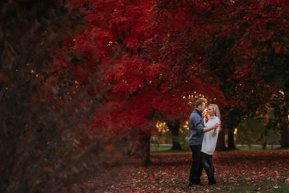 vibrant leaves for fall engagement session