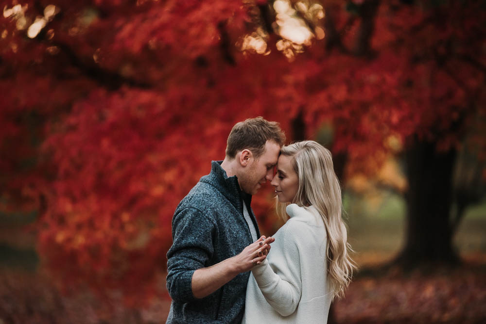 amazing fall colours for engagement session